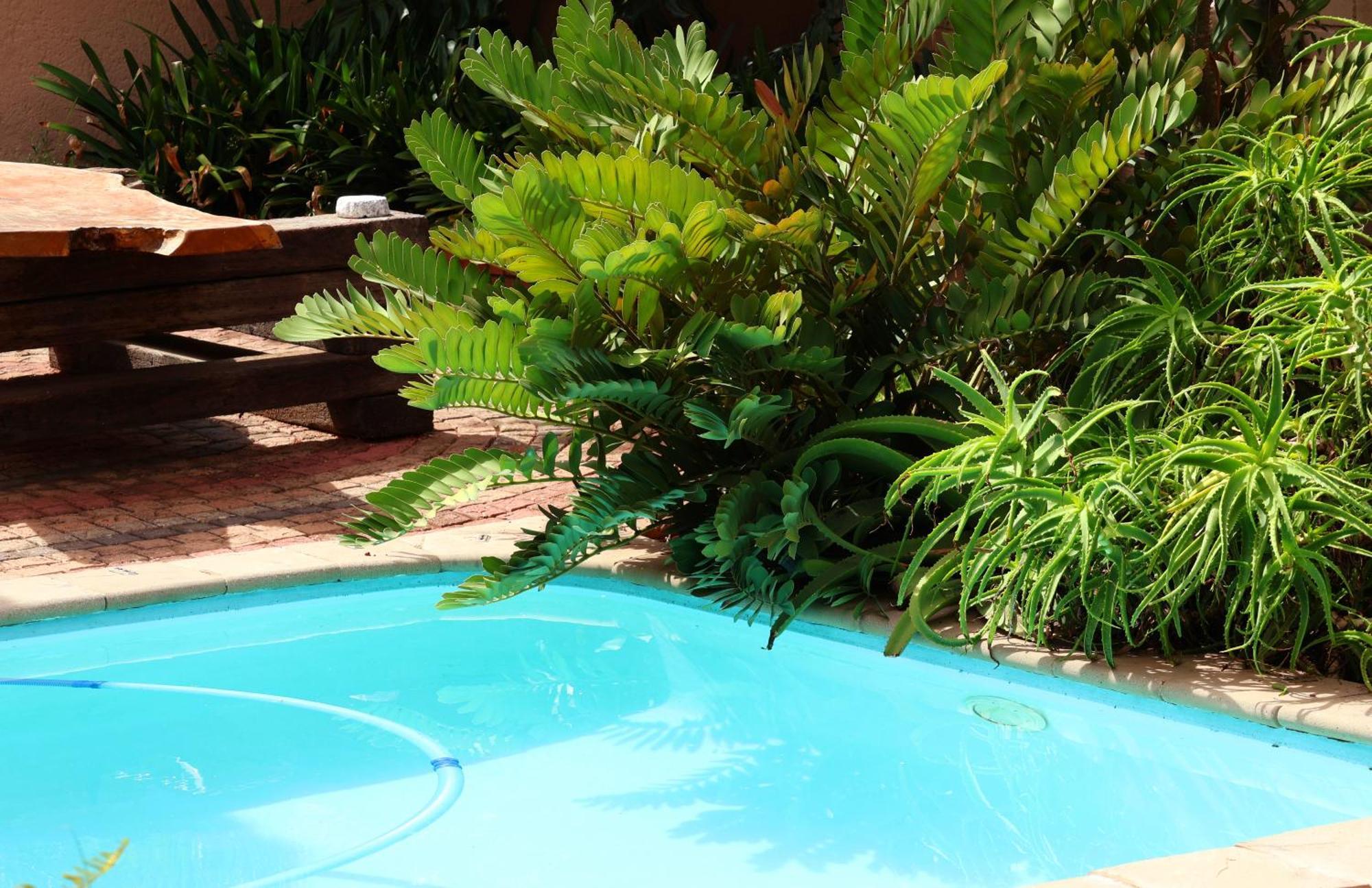 The Leopard Tree Bed and Breakfast Πολοκουάνε Εξωτερικό φωτογραφία